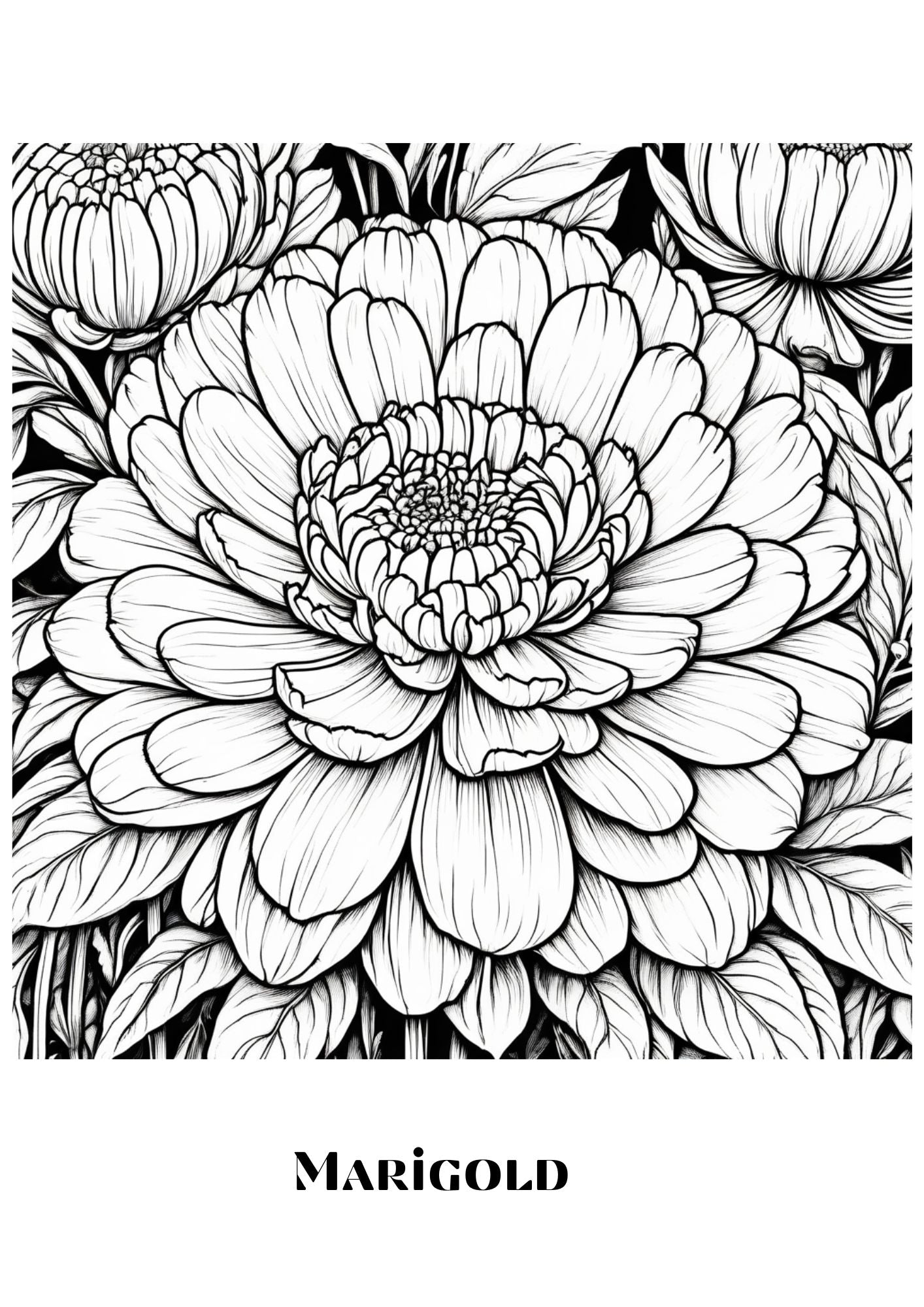 Blooming Serenity Coloring Worksheets- 50 Printable Worksheets For Teens And Adult